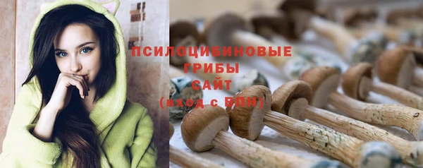 кокс Абаза