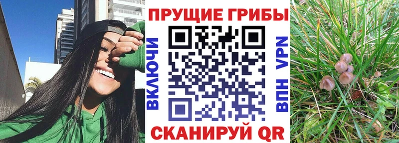 Псилоцибиновые грибы Cubensis  наркотики  Юхнов 